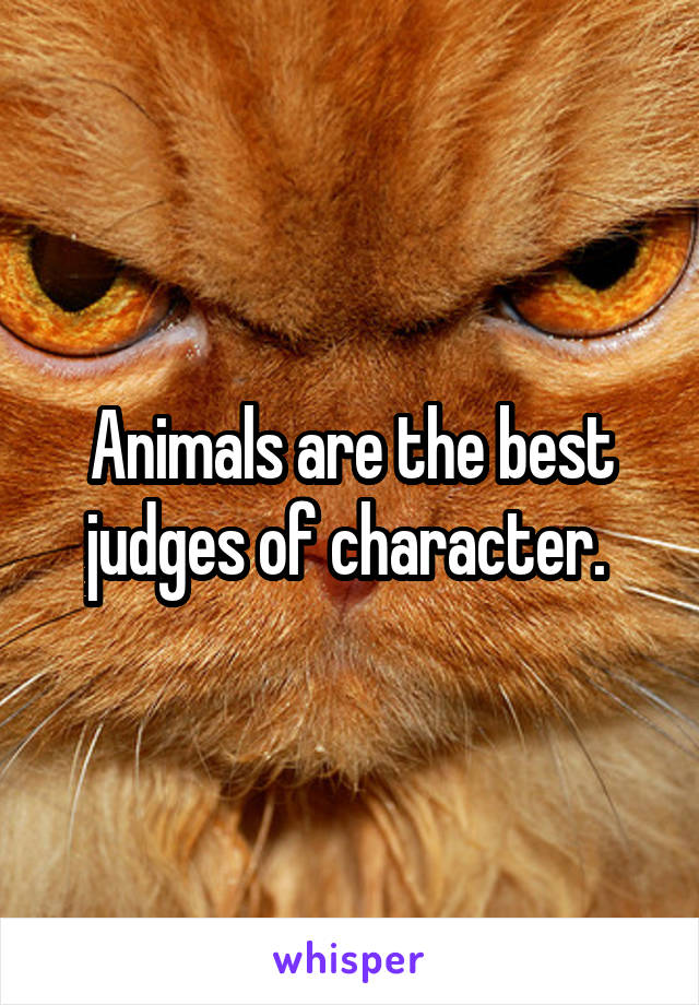 Animals are the best judges of character. 
