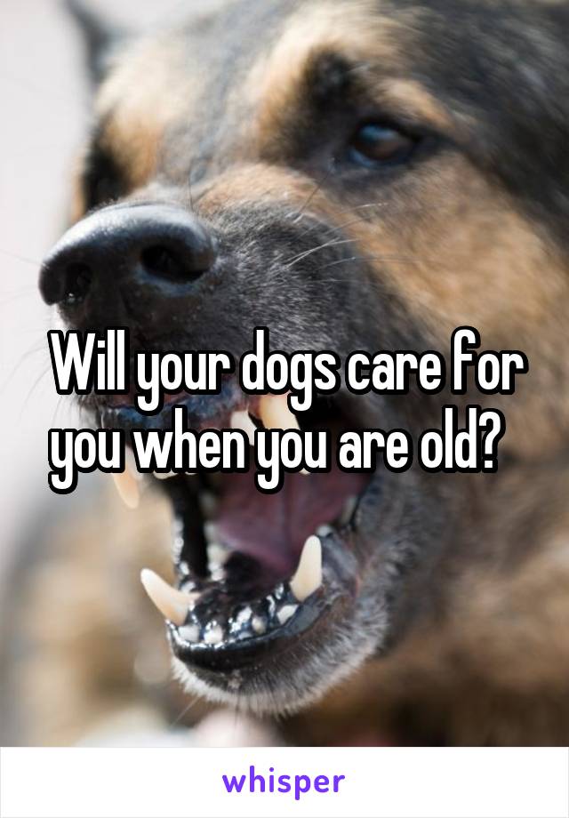 Will your dogs care for you when you are old?  