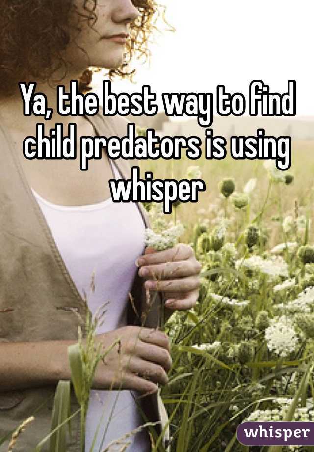Ya, the best way to find child predators is using whisper 