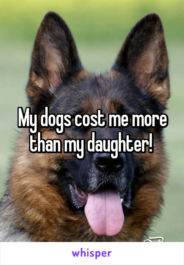 My dogs cost me more than my daughter! 