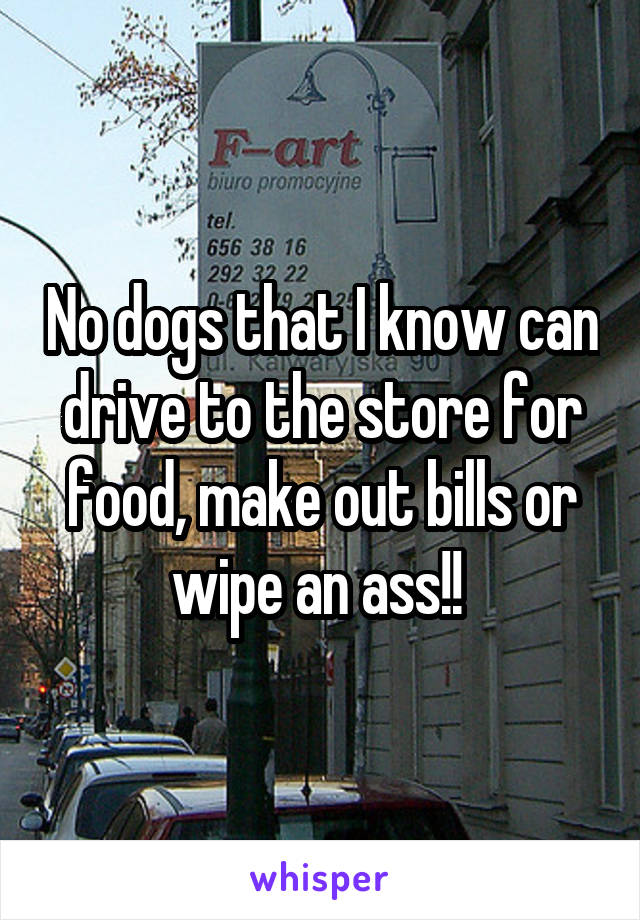 No dogs that I know can drive to the store for food, make out bills or wipe an ass!! 