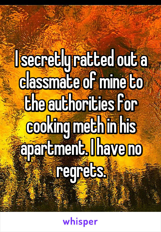 I secretly ratted out a classmate of mine to the authorities for cooking meth in his apartment. I have no regrets.