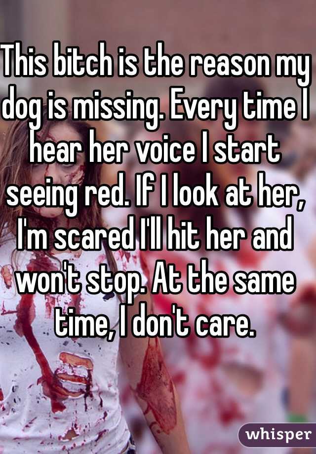 This bitch is the reason my dog is missing. Every time I hear her voice I start seeing red. If I look at her, I'm scared I'll hit her and won't stop. At the same time, I don't care. 