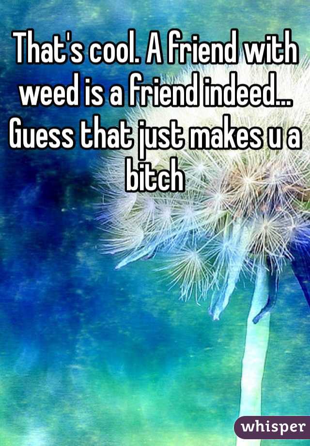 That's cool. A friend with weed is a friend indeed... Guess that just makes u a bitch 