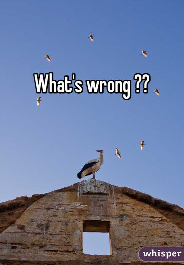What's wrong ?? 