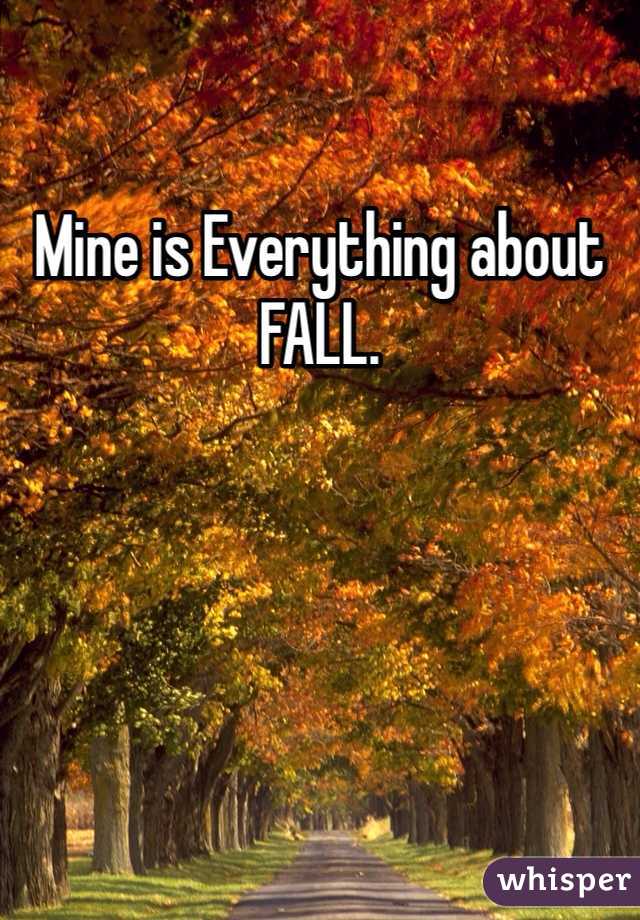 Mine is Everything about FALL.