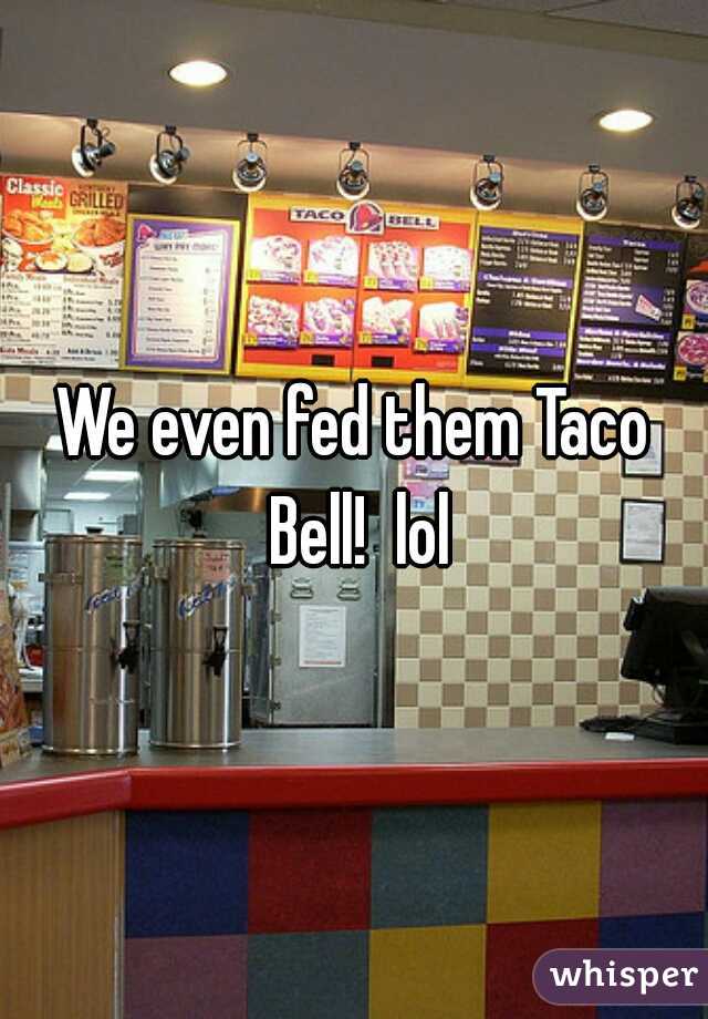We even fed them Taco Bell!  lol