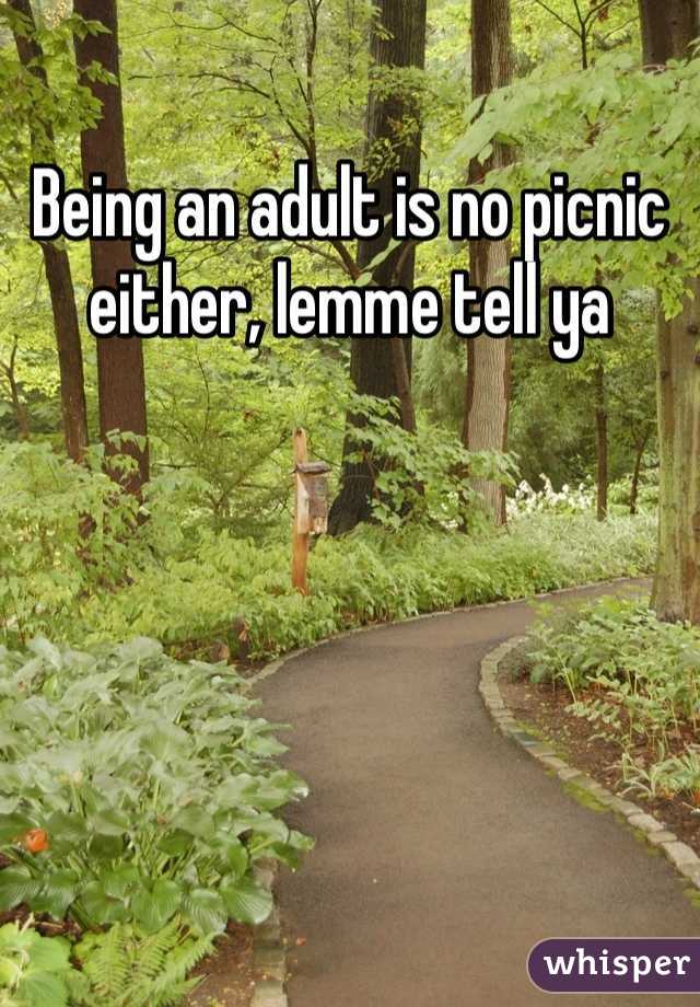 Being an adult is no picnic either, lemme tell ya