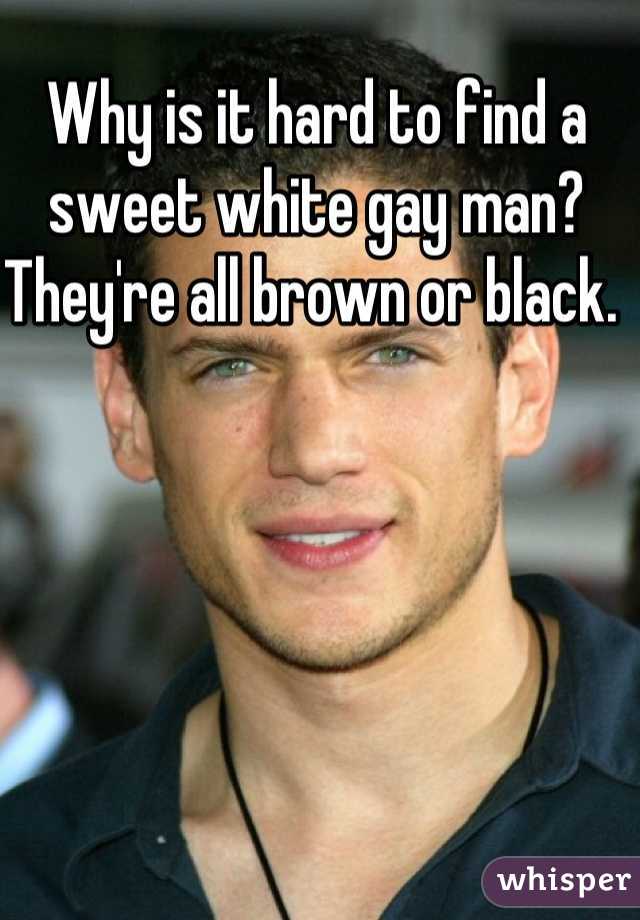 Why is it hard to find a sweet white gay man? They're all brown or black. 