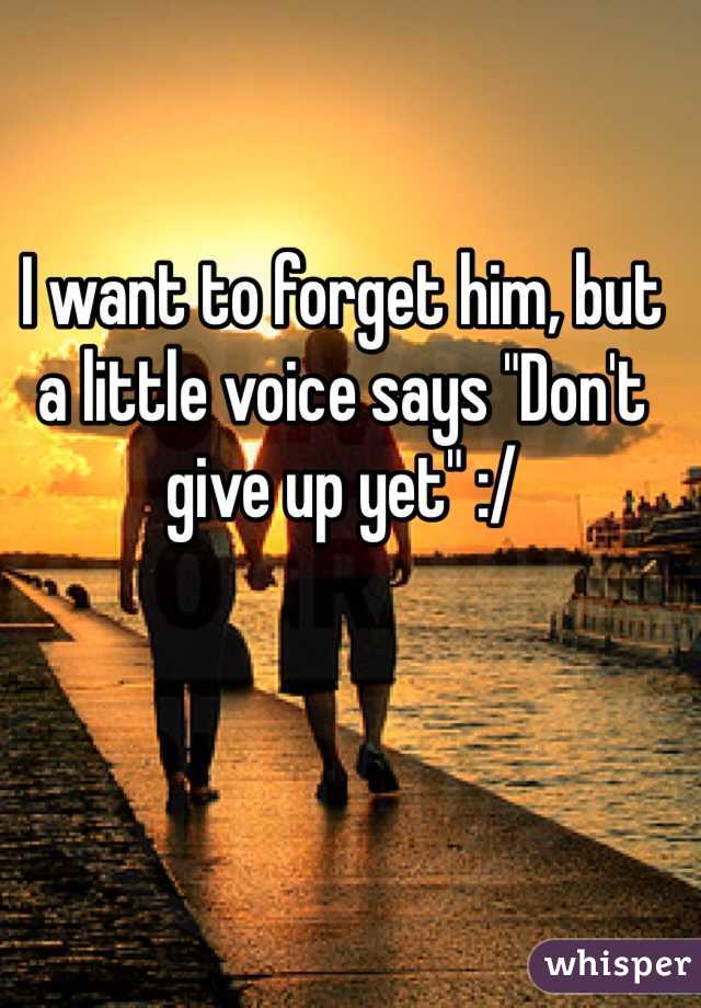 I want to forget him, but a little voice says "Don't give up yet" :/