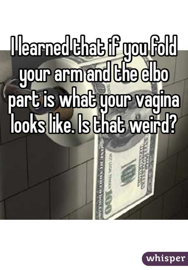 I learned that if you fold your arm and the elbo  part is what your vagina looks like. Is that weird? 