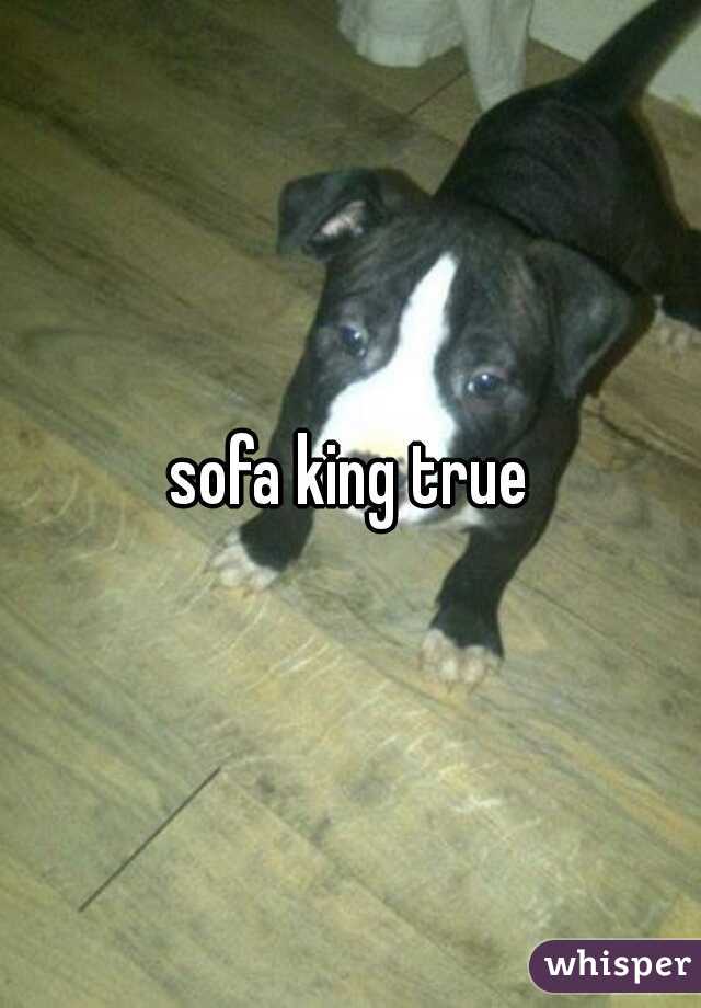 sofa king true