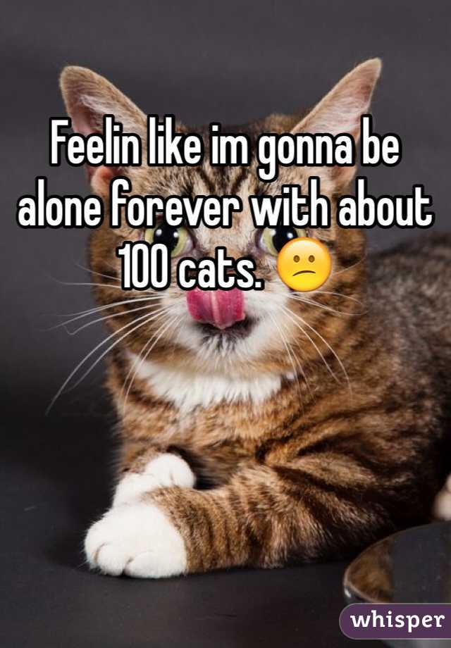 Feelin like im gonna be alone forever with about 100 cats. 😕