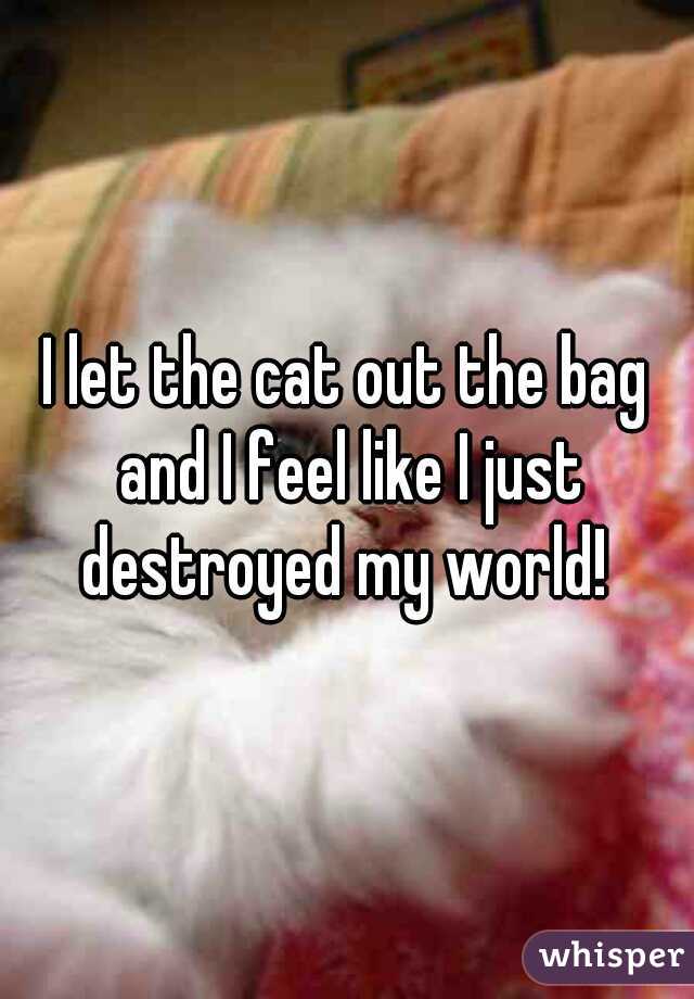 I let the cat out the bag and I feel like I just destroyed my world! 