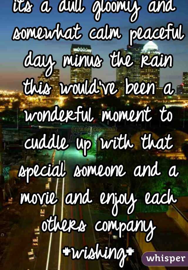 its a dull gloomy and somewhat calm peaceful day minus the rain this would've been a wonderful moment to cuddle up with that special someone and a movie and enjoy each others company #wishing#