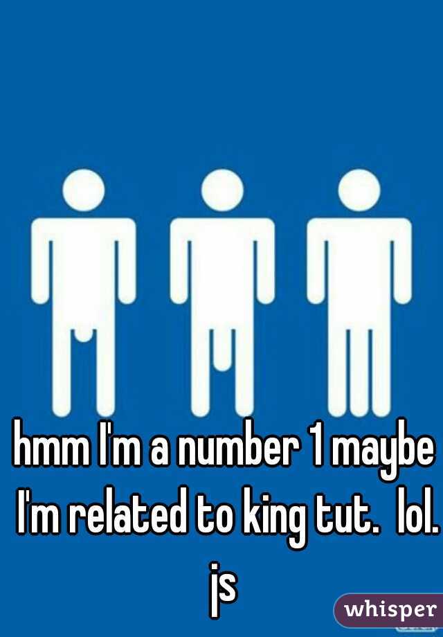 hmm I'm a number 1 maybe I'm related to king tut.  lol. js 