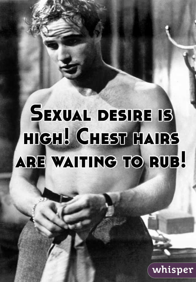 Sexual desire is high! Chest hairs are waiting to rub! 