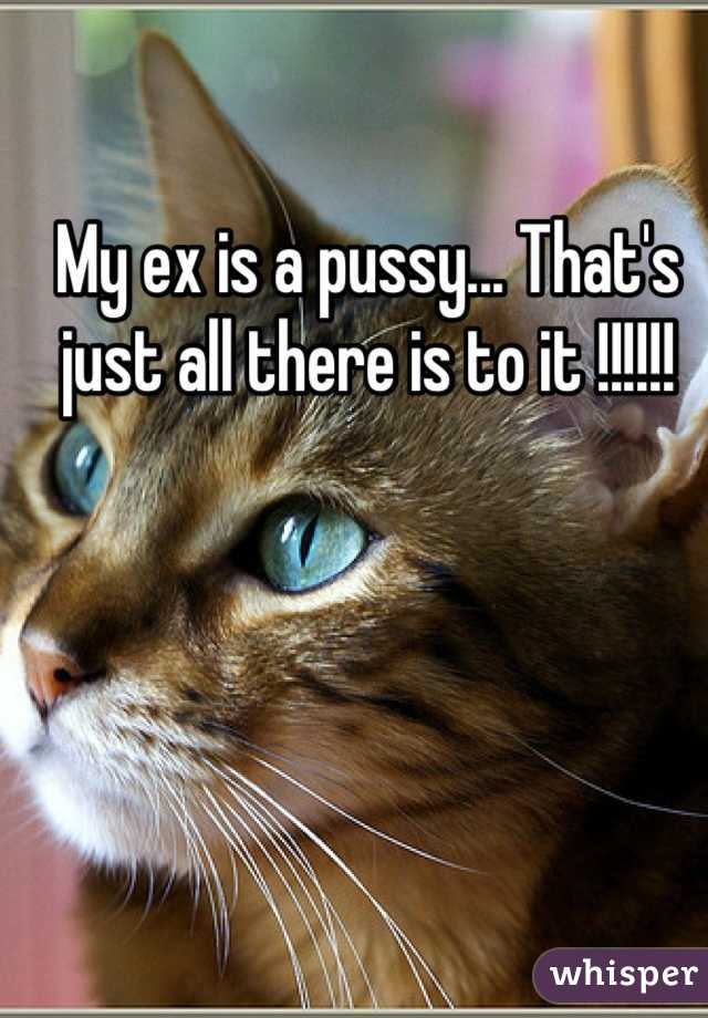 My ex is a pussy... That's just all there is to it !!!!!!