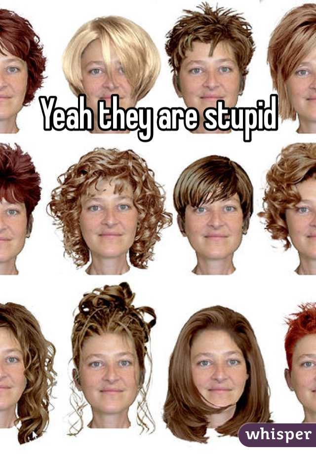 Yeah they are stupid
