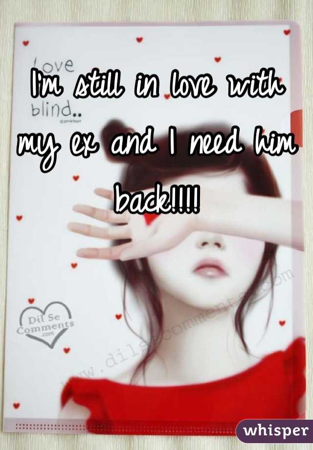 I'm still in love with my ex and I need him back!!!!