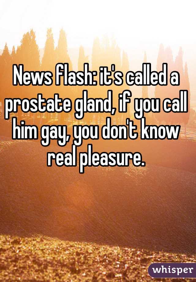 News flash: it's called a prostate gland, if you call him gay, you don't know real pleasure.