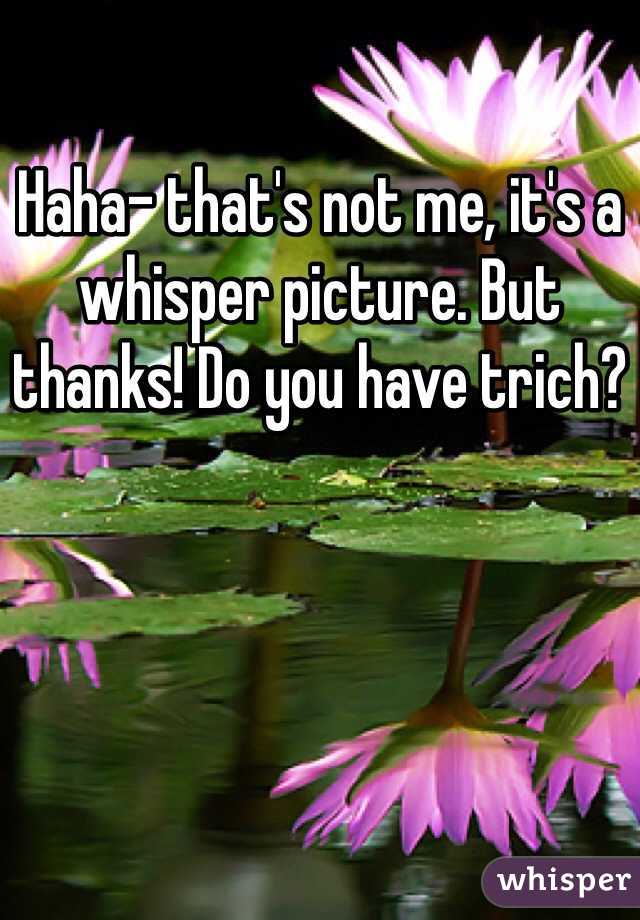 Haha- that's not me, it's a whisper picture. But thanks! Do you have trich?
