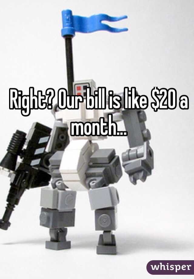 Right? Our bill is like $20 a month... 