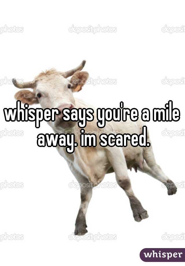 whisper says you're a mile away. im scared.