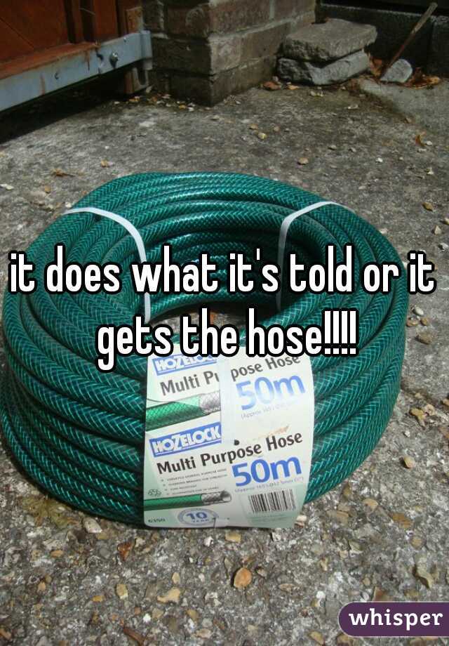 it does what it's told or it gets the hose!!!!