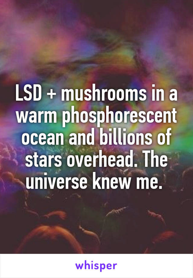 LSD + mushrooms in a warm phosphorescent ocean and billions of stars overhead. The universe knew me. 