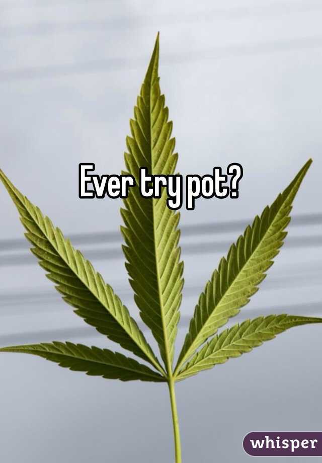 Ever try pot?