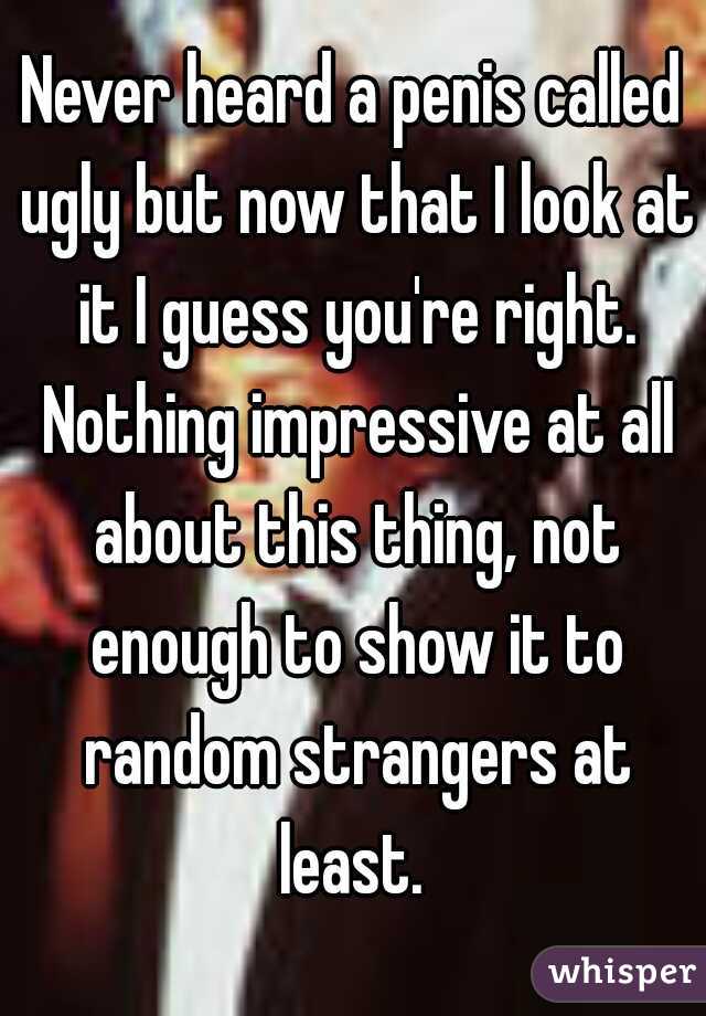 Never heard a penis called ugly but now that I look at it I guess you're right. Nothing impressive at all about this thing, not enough to show it to random strangers at least. 