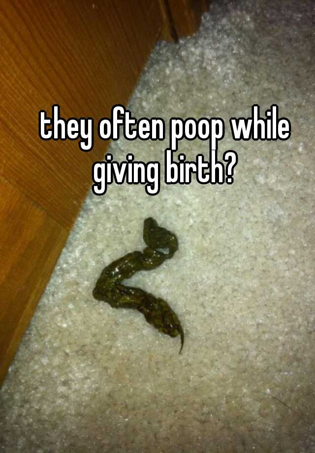 they often poop while giving birth?