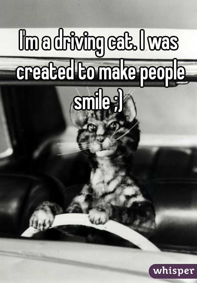 I'm a driving cat. I was created to make people smile ;) 