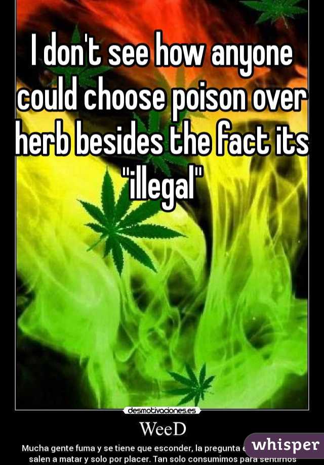 I don't see how anyone could choose poison over herb besides the fact its "illegal"