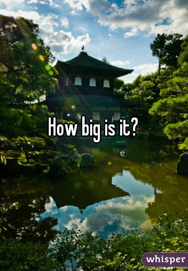 How big is it?