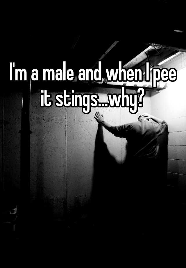 i-m-a-male-and-when-i-pee-it-stings-why