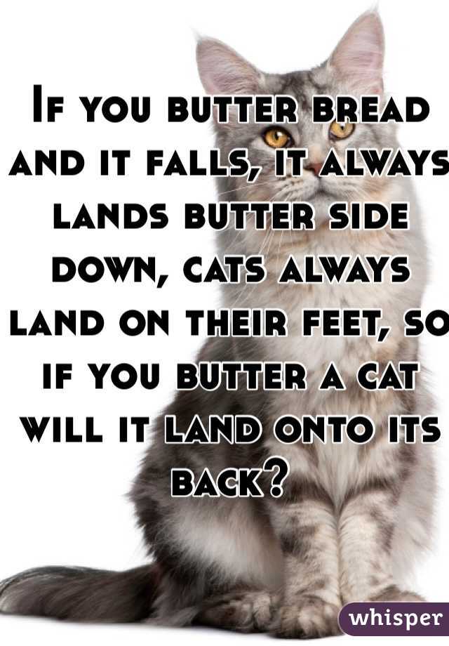 If you butter bread and it falls, it always lands butter side down, cats always land on their feet, so if you butter a cat will it land onto its back?