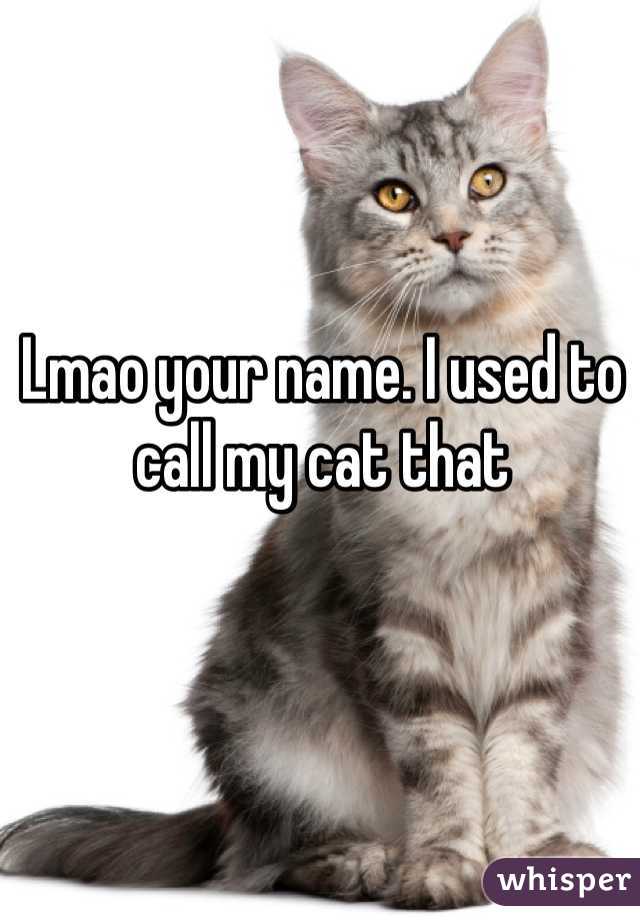 Lmao your name. I used to call my cat that
