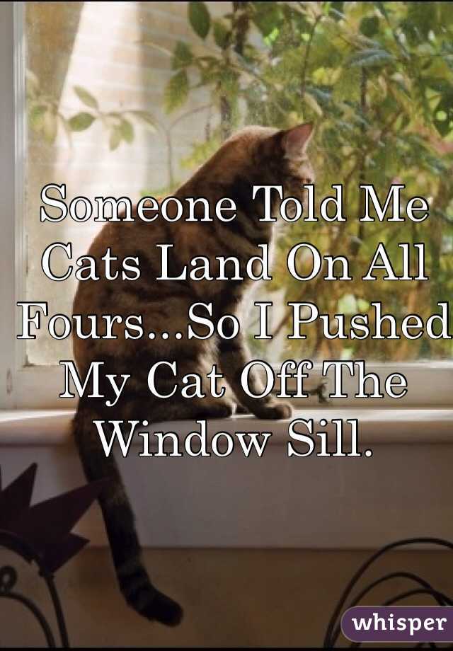 Someone Told Me Cats Land On All Fours...So I Pushed My Cat Off The Window Sill.