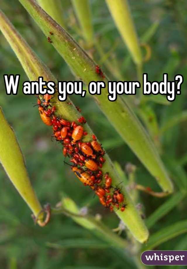 W ants you, or your body?
