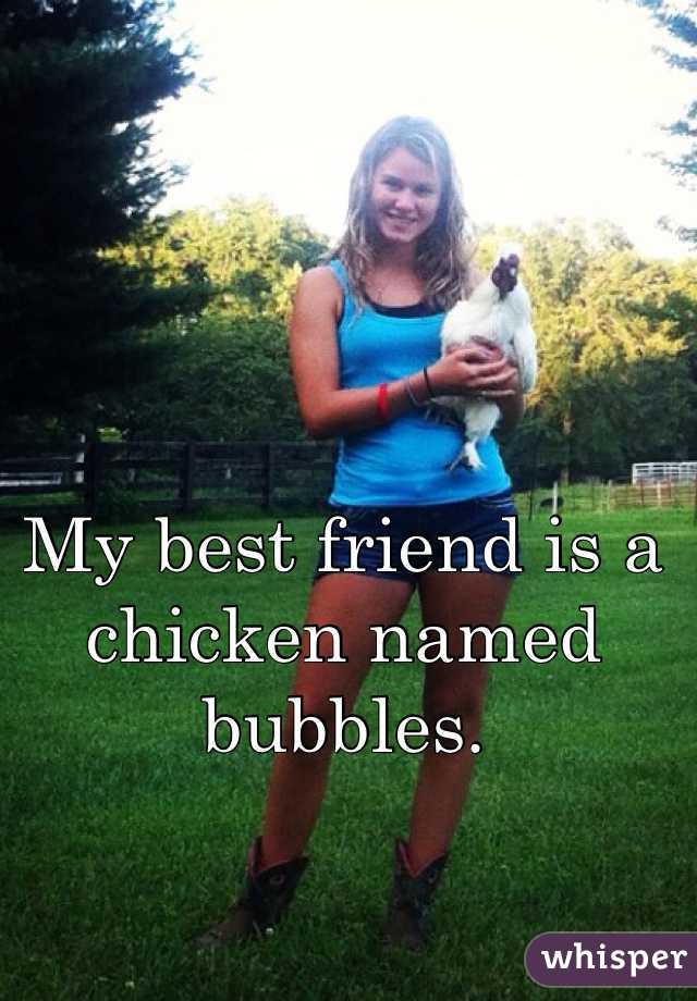 My best friend is a chicken named bubbles. 