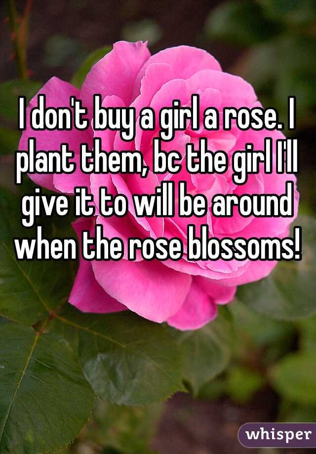 I don't buy a girl a rose. I plant them, bc the girl I'll give it to will be around when the rose blossoms! 
