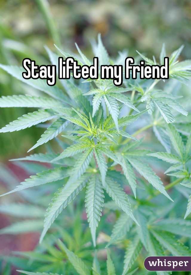 Stay lifted my friend 