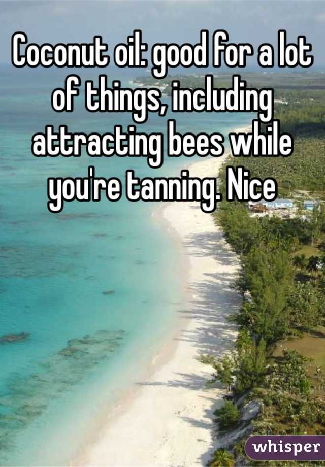 Coconut oil: good for a lot of things, including attracting bees while you're tanning. Nice 