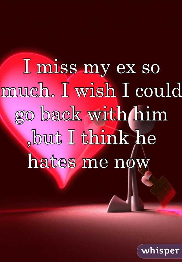 I miss my ex so much. I wish I could go back with him ,but I think he hates me now 