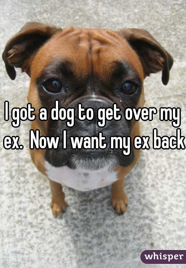I got a dog to get over my ex.  Now I want my ex back