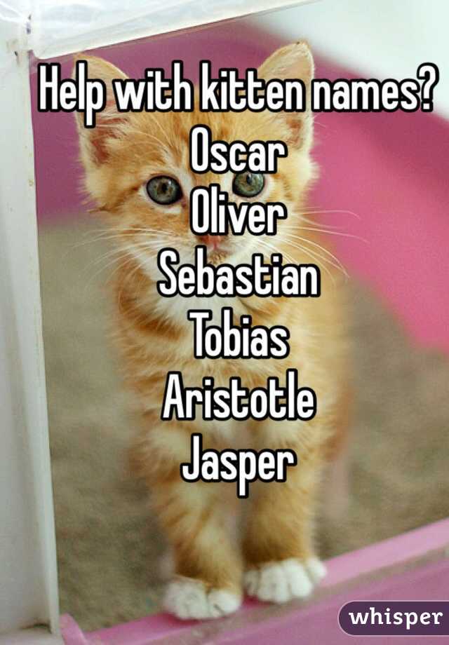 Help with kitten names?
Oscar 
Oliver 
Sebastian 
Tobias 
Aristotle 
Jasper