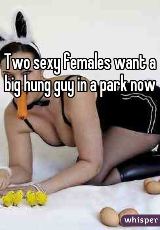 Two sexy females want a big hung guy in a park now