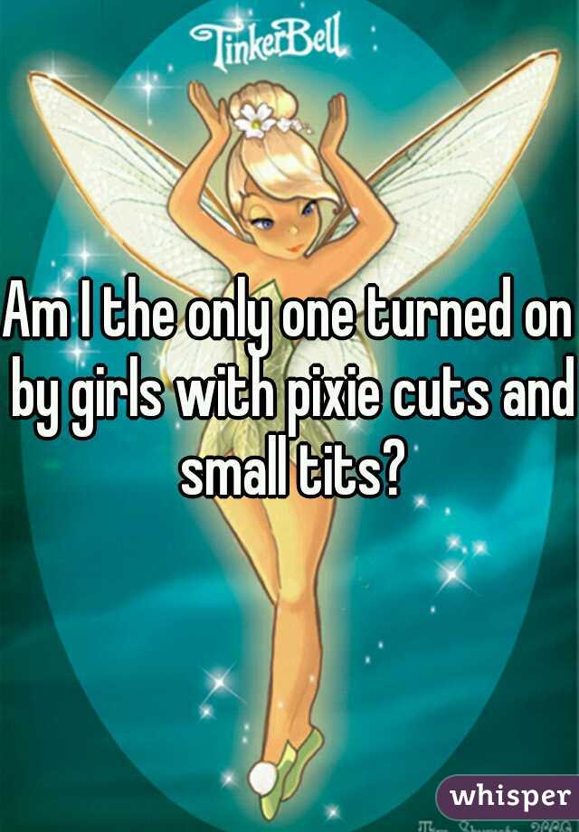 Am I the only one turned on by girls with pixie cuts and small tits?